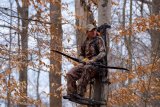 Hunters Encouraged to Perform Pre-Season Scouting and Equipment Inspections Hunters Encouraged to Perform Pre-Season Scouting and Equipment Inspections