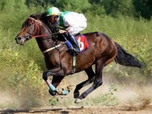 EDITORIAL: Senator Clark Barnes is a Fun Horse to Watch in Governor's Horse Race EDITORIAL: Senator Clark Barnes is a Fun Horse to Watch in Governor's Horse Race