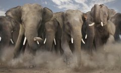 GOP's Lucas Will Ride Herd in 2nd Congressional District Mega-Primary GOP's Lucas Will Ride Herd in 2nd Congressional District Mega-Primary