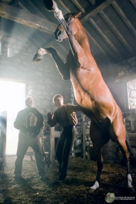 UPDATED WEEKEND FIRST: Weekly Movies Comings & Goings War Horse opens Sunday Dec 25