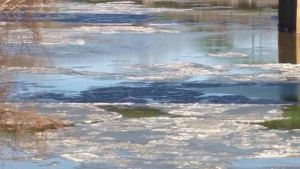 Latest CDC Update on WV Chemical Spill Latest CDC Update on WV Chemical Spill