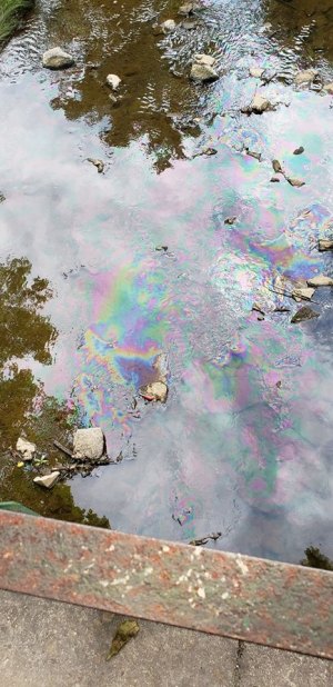 UPDATED: Park Smell Investigation Traced to Hospital Tank UPDATED: Park Smell Investigation Traced to Hospital Tank
