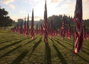 Healing Field Returns to Huntington's Park Healing Field Returns to Huntington's Park