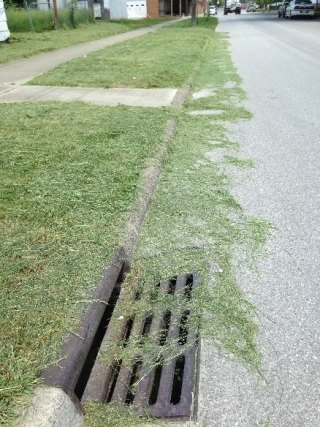 $500 Huntington Fine for Sweeping Cut Grass, Leaves into Sewer $500 Huntington Fine for Sweeping Cut Grass, Leaves into Sewer
