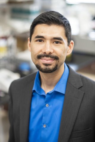Findings from Marshall University researcher reveal insights into brain circuitry Findings from Marshall University researcher reveal insights into brain circuitry