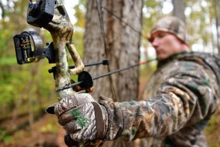 West Virginia’s Archery and Crossbow Seasons Open Sept. 30 West Virginia’s Archery and Crossbow Seasons Open Sept. 30