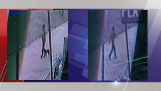POLICE BLOTTER: Charleston Police Seek Animal Cruelty Suspect POLICE BLOTTER: Charleston Police Seek Animal Cruelty Suspect