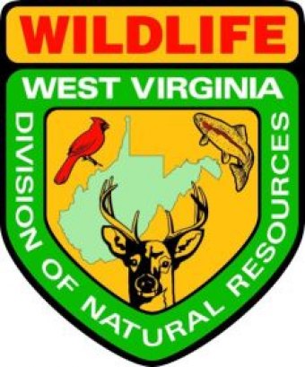 West Virginia Mast Survey and Hunting Outlook West Virginia Mast Survey and Hunting Outlook