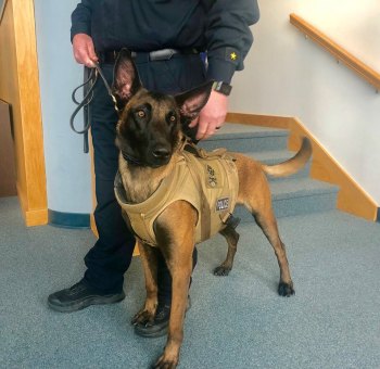 Marshall Health cardiologists Donate Bulletproof Vest to Police K-9 Marshall Health cardiologists Donate Bulletproof Vest to Police K-9
