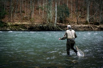 Gov. Justice Announces Month of Free Fishing Gov. Justice Announces Month of Free Fishing