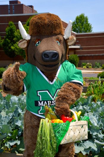 Marshall to partner with The Wild Ramp, offering Workplace Farm Share memberships to students, employees Marshall to partner with The Wild Ramp, offering Workplace Farm Share memberships to students, employees