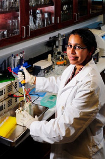 Researchers to present at the World Congress on Endometriosis in Brazil Researchers to present at the World Congress on Endometriosis in Brazil
