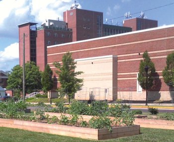 Marshall University, GroHuntington to host yoga in the garden Marshall University, GroHuntington to host yoga in the garden