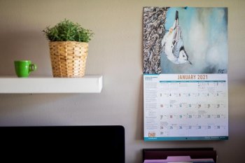 WVDNR Seeks Wildlife Paintings for 2022 Calendar WVDNR Seeks Wildlife Paintings for 2022 Calendar