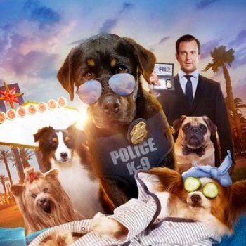 NEW ON SCREEN: Horror and Comedy Take on Star Packed Infinity Show Dogs slated in June
