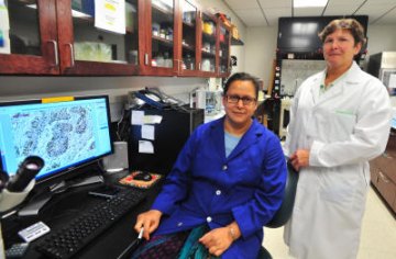 Marshall Scientist Receives Grant for Lung Cancer Research Marshall Scientist Receives Grant for Lung Cancer Research