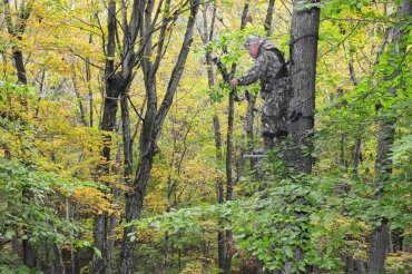 West Virginia DNR Law Enforcement Section offers tree stand safety tips West Virginia DNR Law Enforcement Section offers tree stand safety tips