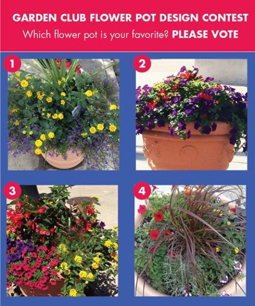 Help City of Huntington Select Garden Club Photo Winner To have you vote count, visit the city's Facebook Page