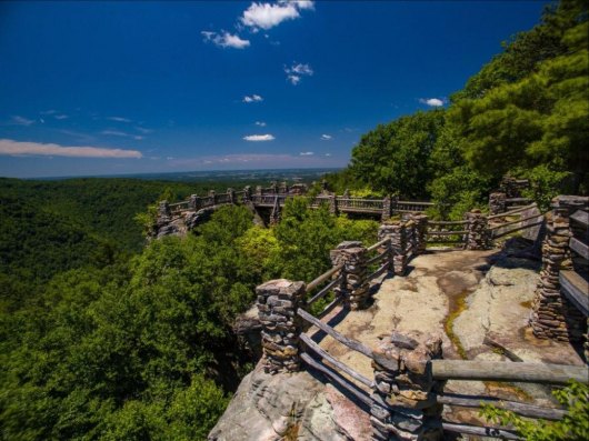 Coopers Rock State Forest to host 6th Annual Morgantown Migratory Bird Day May 13, 2017 Coopers Rock State Forest to host 6th Annual Morgantown Migratory Bird Day May 13, 2017