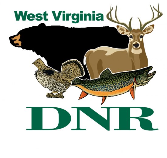 West Virginia’s 2016-2017 seasons set for mourning dove, woodcock, common snipe, sora and Virginia rails West Virginia’s 2016-2017 seasons set for mourning dove, woodcock, common snipe, sora and Virginia rails