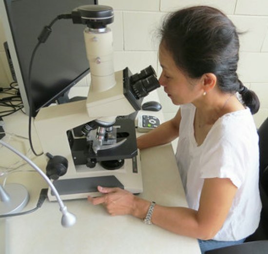 Marshall faculty member receives NASA research award Dr. Kumika Toma has conducted her microgravity research with the microscope featured in this photo. This microscope was used by the late Dr. Gary Dudley, who started a muscle study for NASA 20 years ago at Marshall in the basement of Gullickson Hall.