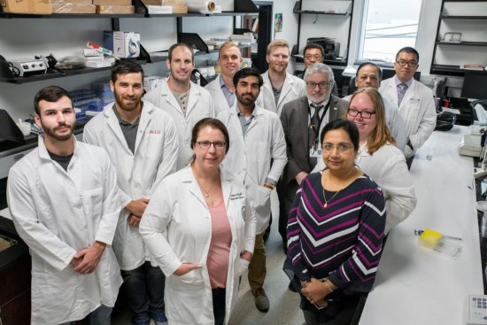 Marshall School of Medicine research team defines possible anti-aging intervention Marshall School of Medicine research team defines possible anti-aging intervention