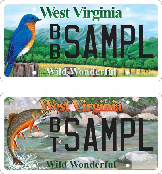 Brook trout and bluebird wildlife license plates available for West Virginia motorists Brook trout and bluebird wildlife license plates available for West Virginia motorists