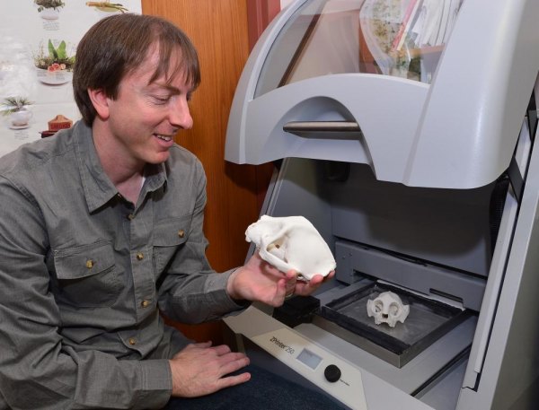 Anthropologist using 3-D printing technology to enhance research and student learning Marshall Professor Dr. Paul Constantino holds a skull created in MU’s 3-D printer.